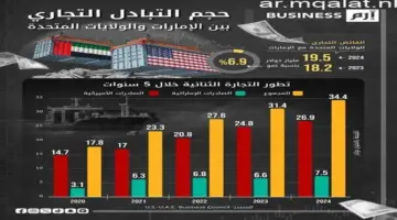 مصر والإمارات تسجلان ارتفاعاً كبيراً في التبادل التجاري بنسبة 61% خلال عام 2025